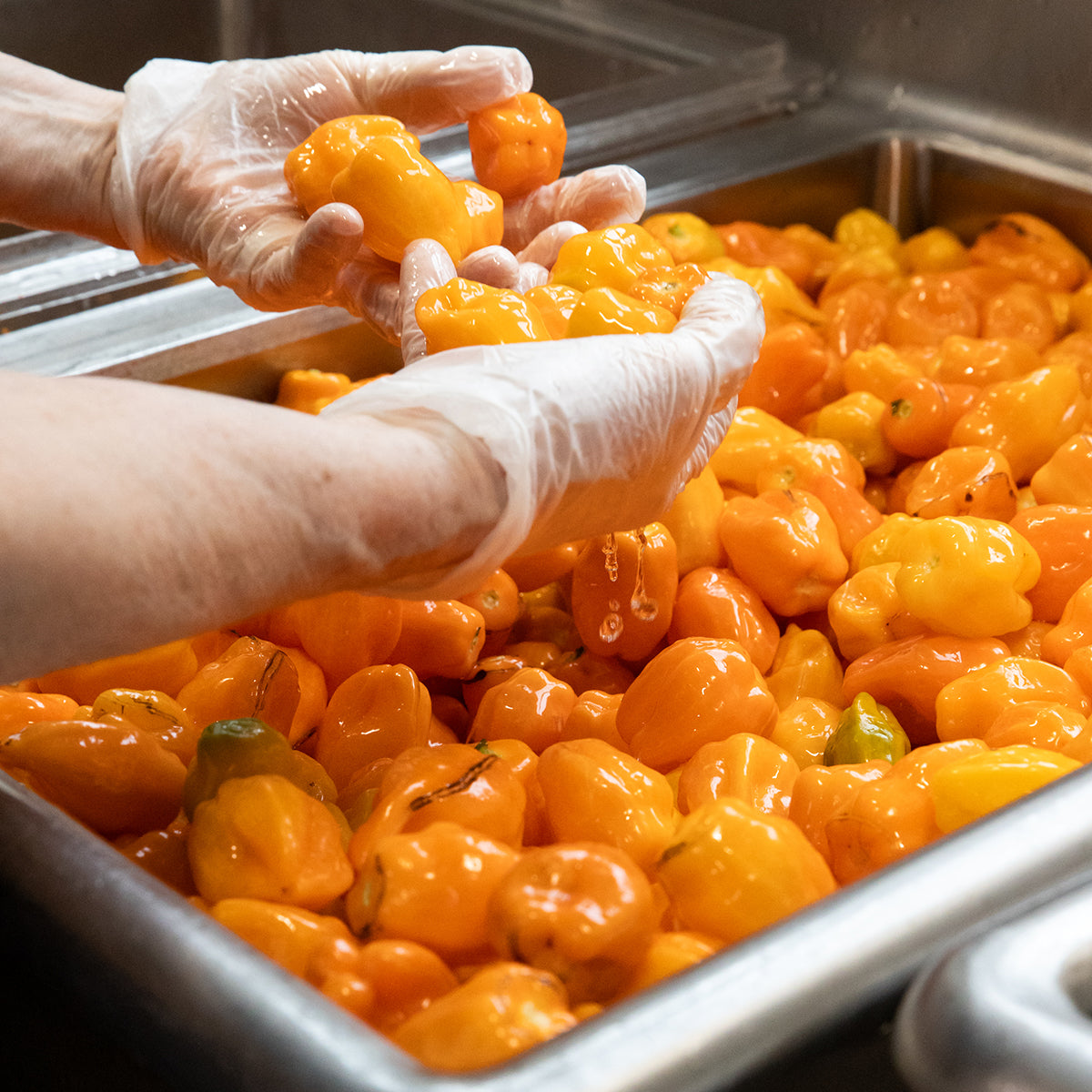 Mango Habanero