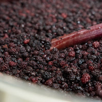 Blackberry Blueberry Balsamic